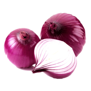 onion picture