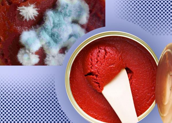 Spoilage of Tomato Paste